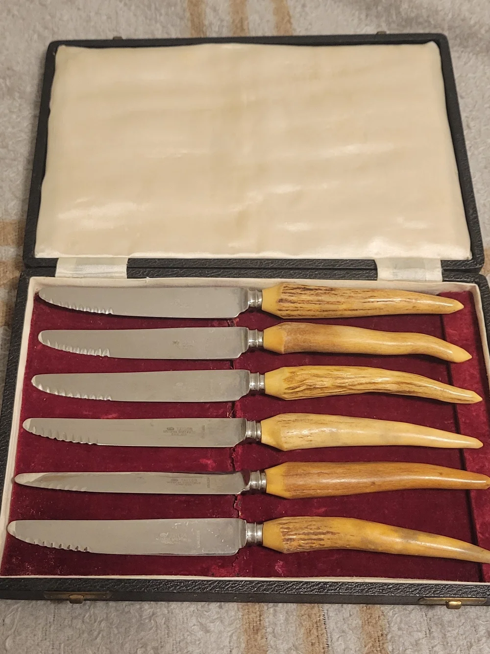 Vintage Taylor’s Eye Witness Sheffield England 6-Piece Table Knife Set with Case